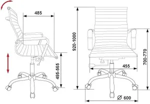   CH-883-Low/ ivory (2 )  